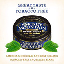 Smokey Mountain Arctic Mint Snuff, Tobacco and Nicotine Free, Refreshing Herbal and Smokeless Chew Alternative, 5 cans