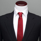 TNG Shield Red Ombre Men's  Tie