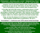 Jiaogulan Herbal Leaf Tea Organic, Award Winning Organic Gynostemma from Thailand since 2002 