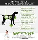 PetHonesty Probiotic Powder for Dogs, Advanced Dog Probiotics, Relieves Dog Diarrhea with Digestive Enzymes, Improves Digestion, Enhances Immune System with Antioxidants, Improves Health 2.1 oz