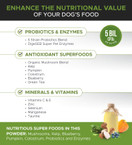 PetHonesty Probiotic Powder for Dogs, Advanced Dog Probiotics, Relieves Dog Diarrhea with Digestive Enzymes, Improves Digestion, Enhances Immune System with Antioxidants, Improves Health 2.1 oz