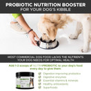 PetHonesty Probiotic Powder for Dogs, Advanced Dog Probiotics, Relieves Dog Diarrhea with Digestive Enzymes, Improves Digestion, Enhances Immune System with Antioxidants, Improves Health 2.1 oz
