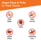 Frontline Plus Flea and Tick Treatment for Dogs