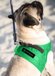 metric usa / Comfort Fit Pets Step in No Pull Small and Medium Dog Harness Vest Easy to Put on & Take Off Soft Padded Interior & Exterior Puppy Harness Ensures Your Dog is Snug & Comfortable