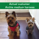 metric usa / Comfort Fit Pets Step in No Pull Small and Medium Dog Harness Vest Easy to Put on & Take Off Soft Padded Interior & Exterior Puppy Harness Ensures Your Dog is Snug & Comfortable