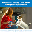 Cosequin Maximum Strength Joint Supplement Plus MSM - with Glucosamine and Chondroitin - for Dogs of All Sizes