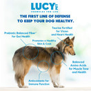 Lucy Pet Formulas for Life - Sensitive Stomach & Skin Dry Dog Food, All Breeds & Life Stages - Duck, Pumpkin, and Quinoa