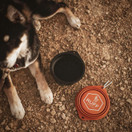 Ruff Products BarkBowl (Black, 800ml) - Collapsible Dog Bowl