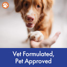 Charlie's Choice by Stop Aging Now - ProDent PLUS Dental Health Chews for Dogs - Supports Healthy Teeth and Fresh Breath - 30 Chews