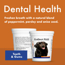 Charlie's Choice by Stop Aging Now - ProDent PLUS Dental Health Chews for Dogs - Supports Healthy Teeth and Fresh Breath - 30 Chews