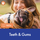 Charlie's Choice by Stop Aging Now - ProDent PLUS Dental Health Chews for Dogs - Supports Healthy Teeth and Fresh Breath - 30 Chews