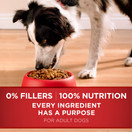 Purina ONE Natural Dry Dog Food, SmartBlend Chicken & Rice Formula - 40 lb. Bag