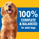 PEDIGREE Small Dog Adult Complete Nutrition Roasted Chicken, Rice & Vegetable Flavor Dry Dog Food 15.9 Pounds