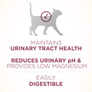 Purina ONE High Protein Dry Cat Food, Urinary Tract Health Formula - 22 lb. Bag