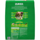 Iams Proactive Health Adult Large Breed Dry Dog Food Chicken, 38.5 Lb. Bag