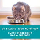 Purina ONE True Instinct High Protein, Natural Wet Cat Food in Sauce or Gravy - (24) 3 oz. Cans