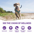 Wellness Complete Health Natural Dry Dog Food, Chicken & Oatmeal