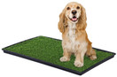 Prevue Pet Products Tinkle Turf for Medium Dog Breeds, 29-1/2-Inch by 19-1/2-Inch