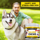 STRELLALAB Hemp Calming Treats for Dogs - 120 Soft Chews - Made in USA with Hemp Oil - Dog Anxiety Relief - Natural Separation Aid - Stress Relief - Fireworks - Storms - Aggressive Behavior - Barking