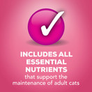 Purina Friskies Wet Cat Food Variety Pack