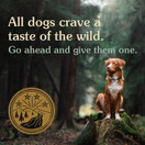 Taste of the Wild High Protein Real Meat Recipe Dry Dog Food with Real Smoked Salmon