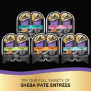 Sheba Perfect Portions Paté Wet Cat Food Tray Variety Packs