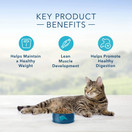 Blue Buffalo Weight Control Natural Adult Dry Cat Food