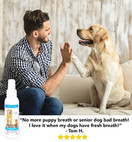 Dog Breath Freshener: Eliminate Bad Breath and Prevent Oral Disease in Dogs and Cats - Teeth Cleaning Spray with Aloe Vera - Plaque and Tartar Remover, Oral Hygiene for Pets (Net 4 FL OZ (118 ml)) x1