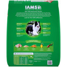 Iams Proactive Health Adult Minichunks Dry Dog Food Chicken