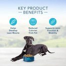 Blue Buffalo Life Protection Formula Healthy Weight Large Breed Dog Food – Natural Dry Dog Food for Adult Dogs – Chicken and Brown Rice – 30 lb. Bag