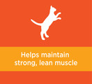 Iams Proactive Health Adult Dry Cat Food