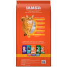 Iams Proactive Health Adult Dry Cat Food