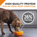 Purina Pro Plan SAVOR Shredded Blend With Probiotics Adult Dry Dog Food