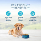 Blue Buffalo Life Protection Formula Natural Adult Dry Dog Food