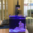 Full Spectrum Aquarium Light, Adjustable Saltwater Freshwater Super Bright Fish Tank Light for Reef, Coral, Planted Nano Aquarium Tank (Saltwater S20)