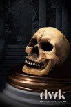 DWK - De Mortuis - Actual Size Faux Human Skull Replica Decor Halloween Horror Decoration Gothic Anatomy Figure Home Décor and Office Accent, 8-inch