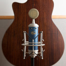 Blue Microphones Bluebird SL Large Diaphragm Condenser Microphone