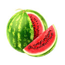 PerfectAmino Electrolytes - Watermelon Zen Flavor (50 Servings): Complete Electrolyte Powder w/ Perfect Amino, Sugar Free