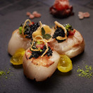 Cornhusker Kitchen Gourmet Duck Fat Spray Cooking Oil, All-Natural Spray Oil, Non Stick Cooking, Baking Butter Spray, Grill Oil Spray | 3 Packs, 7oz