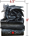 DWK 8" Guardian of Bibliophiles Decorative Medieval Gothic Dragon Trinket Stash Box Statue with Magical Hidden Book Secret Storage Compartment for Fantasy Home Decor