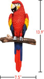 DWK - Island Princess - Beautiful Tropical Parrot Macaw on Branch 3D Wall Art Sculpture Home & Garden Décor Accent 14inch