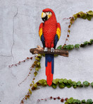 DWK - Island Princess - Beautiful Tropical Parrot Macaw on Branch 3D Wall Art Sculpture Home & Garden Décor Accent 14inch