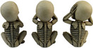 DWK 4-inch Morbid Morals See Hear Speak No Evil Mini Skeleton Figurines Macabre for Halloween Gothic Home Decor (Set of 3)