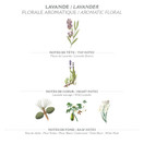 Panier des Sens Eau de Toilette, Perfume, Lavender - Made in France - 1.7 Floz/50ml
