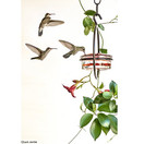 Mosaic Birds - M045-301 Hummble Slim Hummingbird Feeder