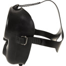 IST M37 Pegasus Full Face Mask for Commercial Scuba Diving, Low Volume Gear with Octo Attachment