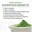 Ujido Japanese Matcha Green Tea Powder - Ceremonial Blend (12 Ounce)