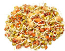 1 Lb - Handy Pantry 5 Part Salad Sprout Mix - Organic Non-GMO Mixed Seeds - Organic Broccoli Sprouting Seeds, Radish Sprout Seeds, Alfalfa Sprout Seeds, Lentil Seeds, and Mung Bean Seeds for Sprouting