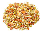 1 Lb - Handy Pantry 5 Part Salad Sprout Mix - Organic Non-GMO Mixed Seeds - Organic Broccoli Sprouting Seeds, Radish Sprout Seeds, Alfalfa Sprout Seeds, Lentil Seeds & Mung Bean Seeds for Sprouting