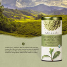 The Republic of Tea 100% Organic Double Green Matcha Tea Bags (40051) - Green Tea and Organic Stone-Ground Japanese Tencha Leaves - Matcha Tea Powder w/ Green Tea - 50 Natural Unbleached Tea Bags